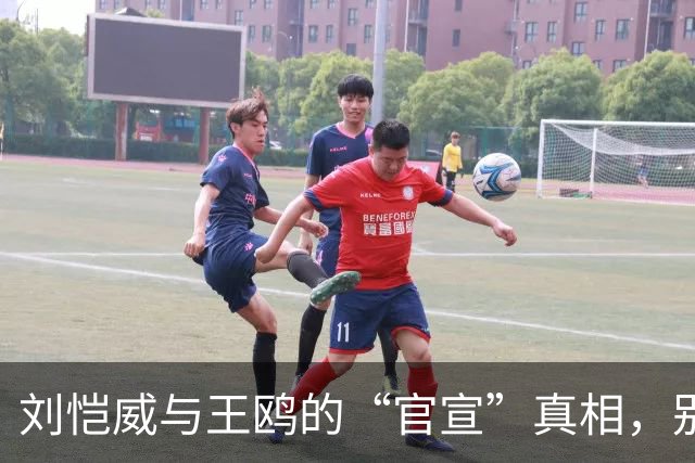刘恺威与王鸥的“官宣”真相，别被八卦牵着鼻子走！