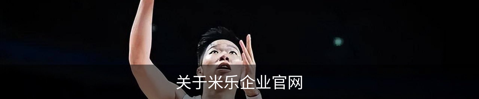关于米乐企业官网