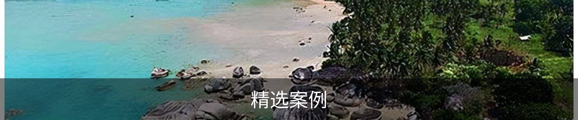 精选案例